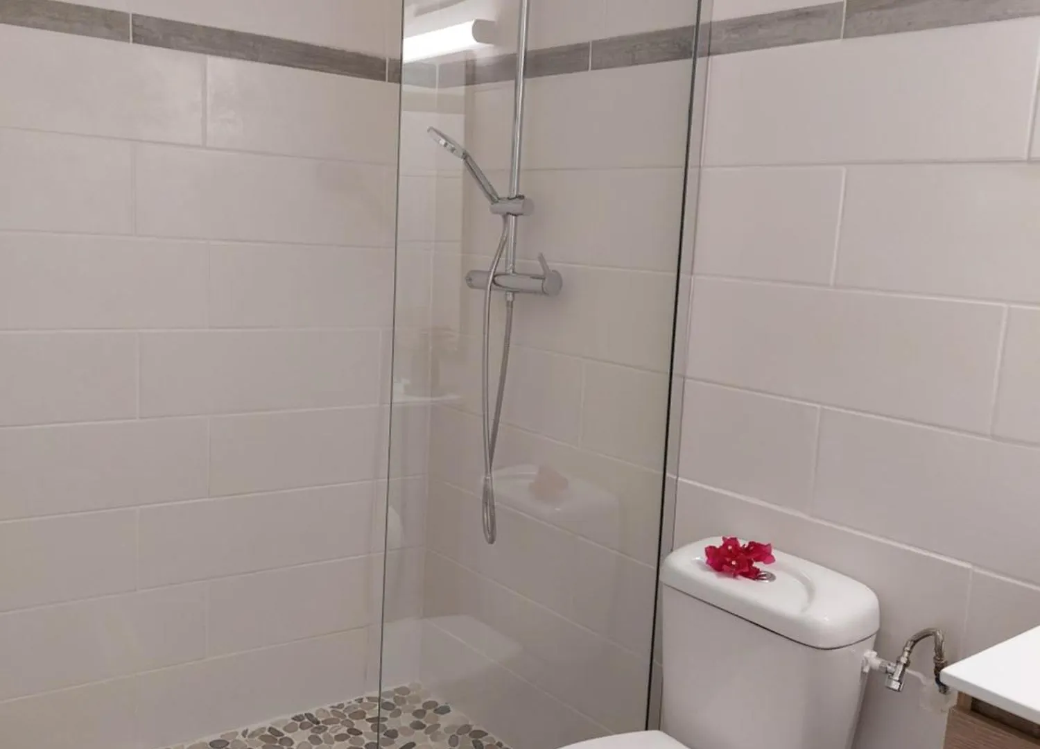 La Berceuse Creole Apartment Sainte-Anne